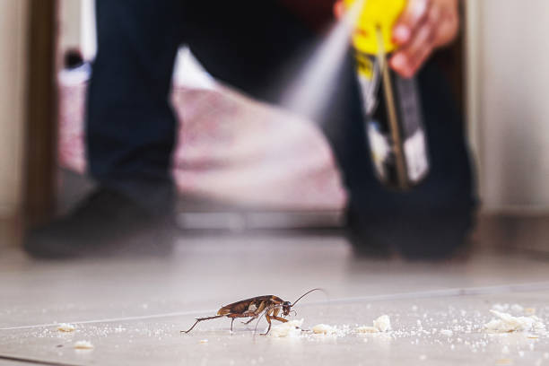 Pest Control for Restaurants in Nashville, IN