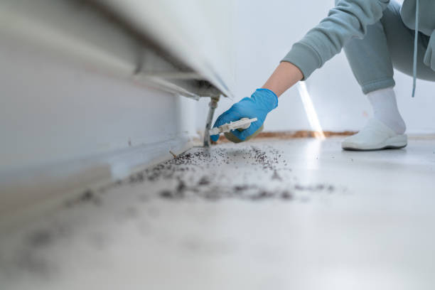 Best Termite Control Services  in Nashville, IN